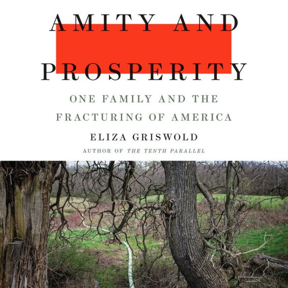 Amity and Prosperity: One Family and the Fracturing of America