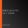 Bible (KJV) NT 23: 1 John