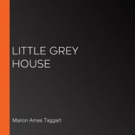 Little Grey House