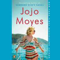 Silver Bay: A Novel