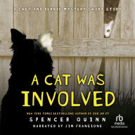 A Cat Was Involved: A Chet and Bernie Mystery Short Story