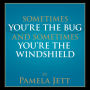 Sometimes You're the Bug and Sometimes You're the Windshield