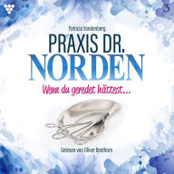 Praxis Dr. Norden 3 - Arztroman: Wenn du geredet hättest ... (Abridged)