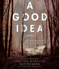 A Good Idea: A Novel