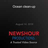 Ocean clean-up