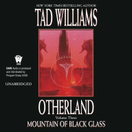 Mountain of Black Glass (Otherland Series #3)