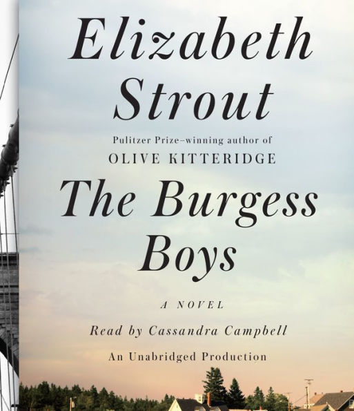 The Burgess Boys: A Novel