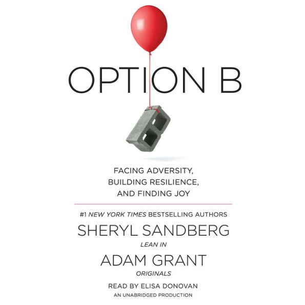 Option B: Facing Adversity, Building Resilience, and Finding Joy