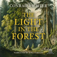 Light in the Forest