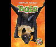 Bats