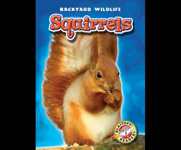 Squirrels