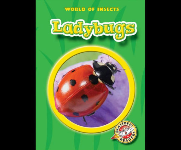 Ladybugs