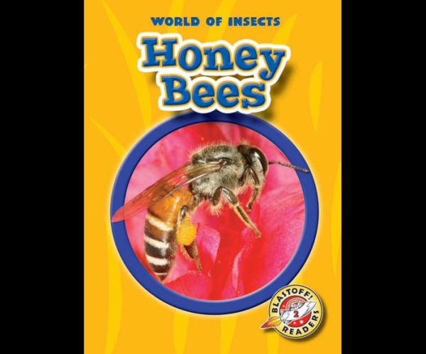 Honey Bees