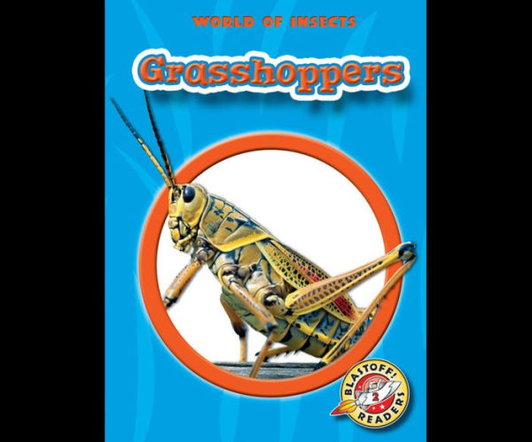 Grasshoppers