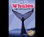 Whales