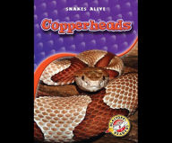 Copperheads