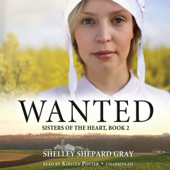 Wanted: Sisters of the Heart, Book 2