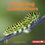 Creeping Caterpillars