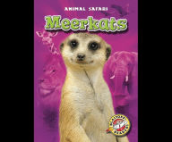 Meerkats