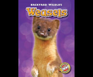 Weasels