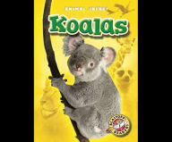 Koalas