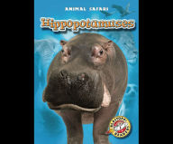 Hippopotamuses