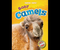 Baby Camels: Blastoff! Readers: Level 1