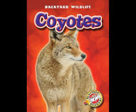 Coyotes