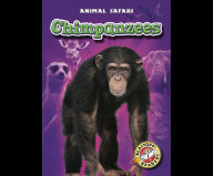 Chimpanzees