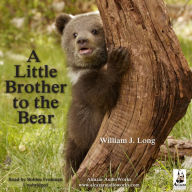 A Little Brother to the Bear: And Other Animal Stories