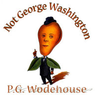 Not George Washington: An Autobiographical Novel
