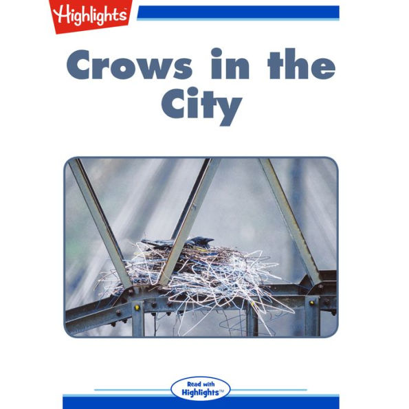 Crows in the City