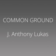 Common Ground: A Turbulent Decade in the Lives of Three American Families