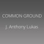 Common Ground: A Turbulent Decade in the Lives of Three American Families