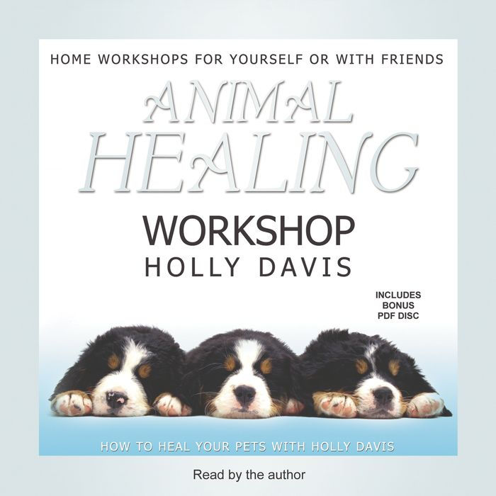 Animal Healing Workshop