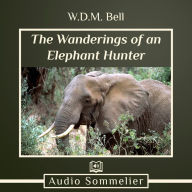 The Wanderings of an Elephant Hunter