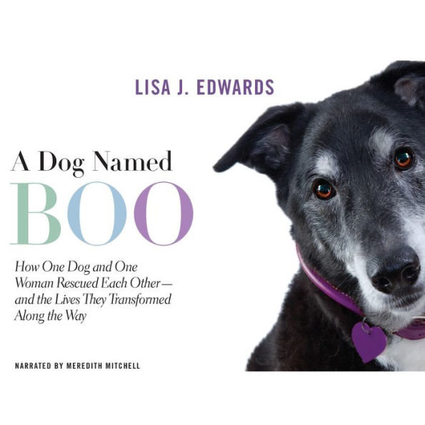 A Dog Named Boo: How One Dog and One Woman Rescued Each Other--and the Lives They Transformed Along the Way