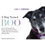 A Dog Named Boo: How One Dog and One Woman Rescued Each Other--and the Lives They Transformed Along the Way