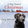 A Dog Named Christmas