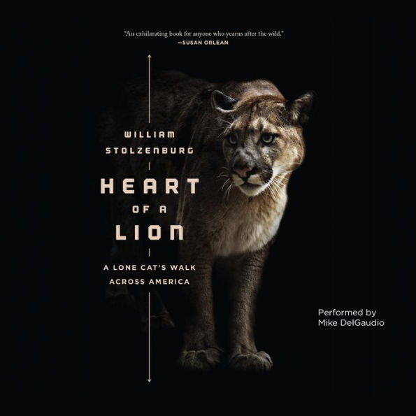 Heart of a Lion: A Lone Cat's Walk Across America