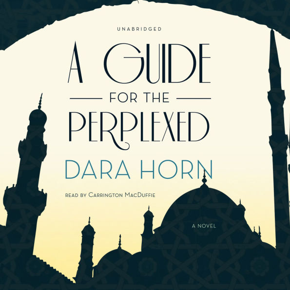 A Guide for the Perplexed: A Novel