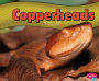 Copperheads