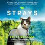 Strays: A Lost Cat, a Drifter, and Their Journey across America