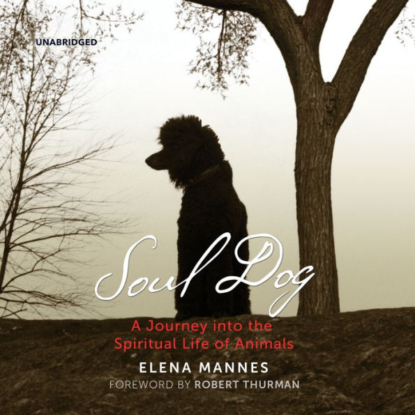 Soul Dog: A Journey into the Spiritual Life of Animals