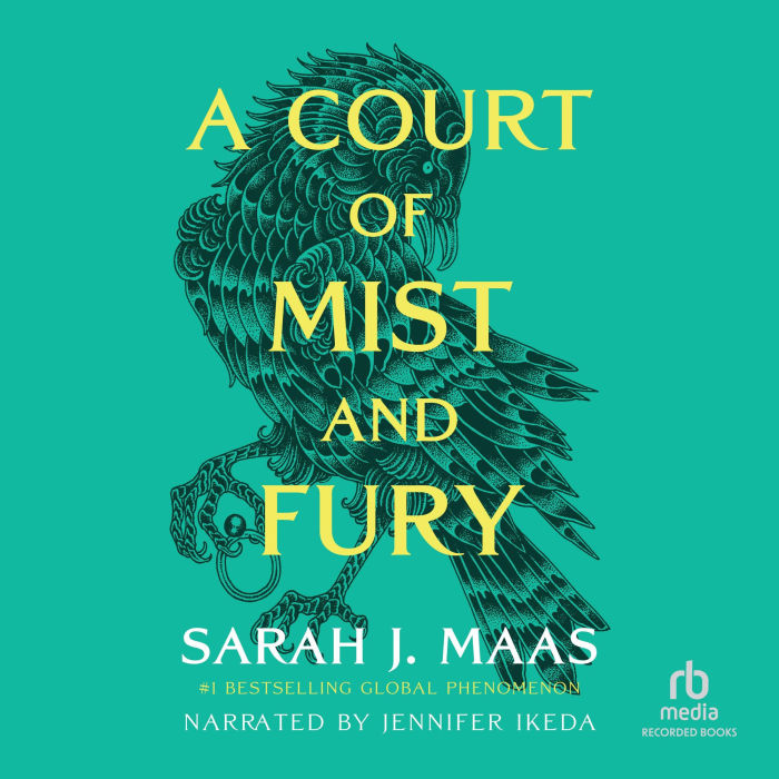 A Court of Mist and Fury: A Court of Thorns and Roses, Book 2