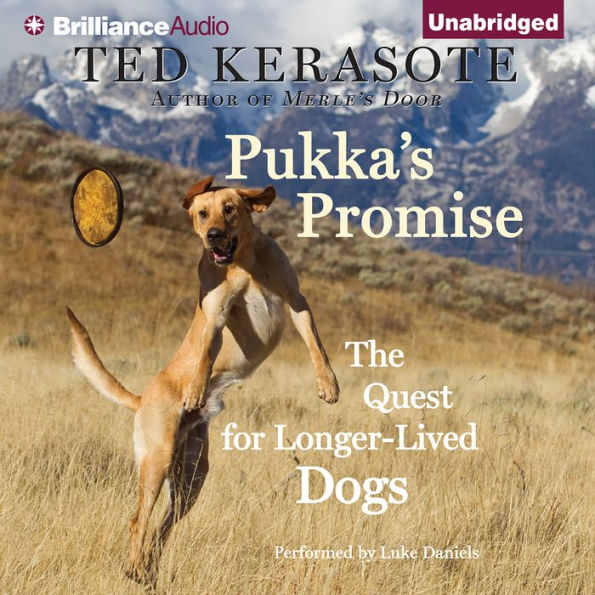 Pukka's Promise: The Quest for Longer-Lived Dogs