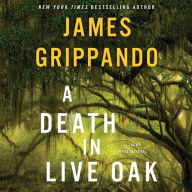 A Death in Live Oak (Jack Swyteck Series #14)