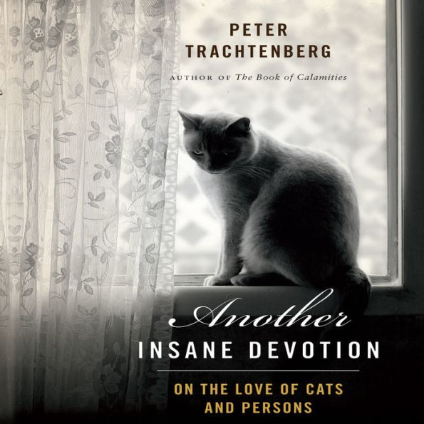 Another Insane Devotion: On the Love of Cats and Persons