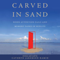 Carved in Sand: When Attention Fails and Memory Fades in Midlife