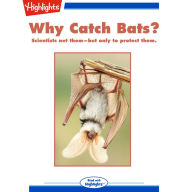 Why Catch Bats?